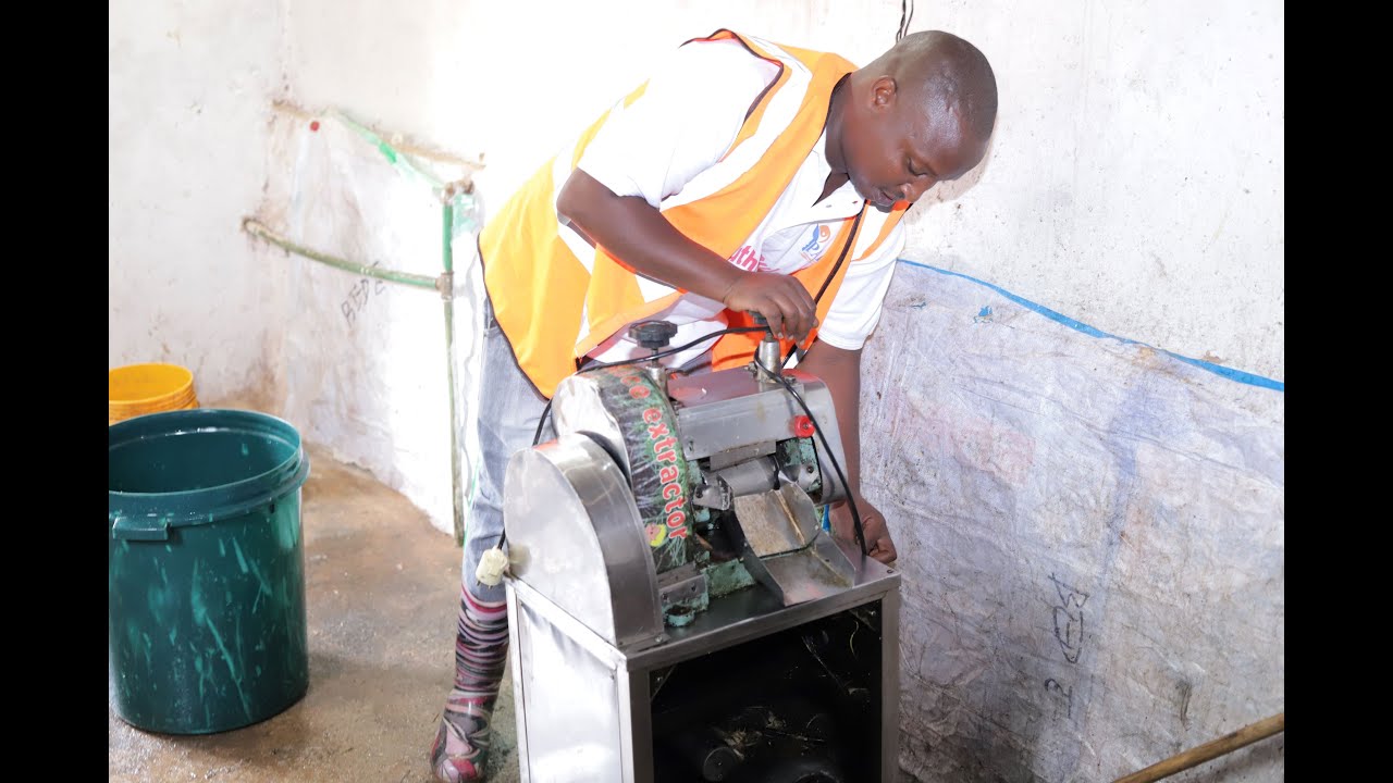 Ngozi/Aron Niyuhire akora umuvinyu w'igikaju. Akora 250 litres ku musi kubw'umutahe wa PAEEJ.
