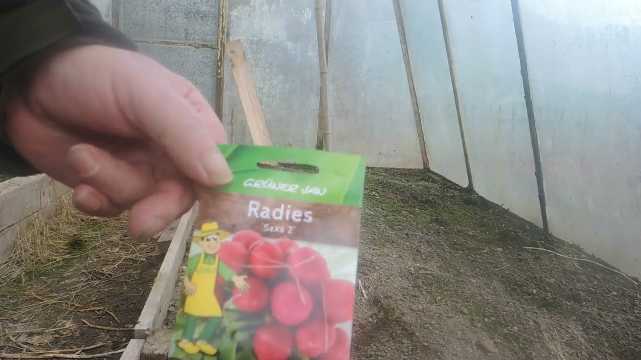 Erste Aussaat im Garten , nur im Glashaus