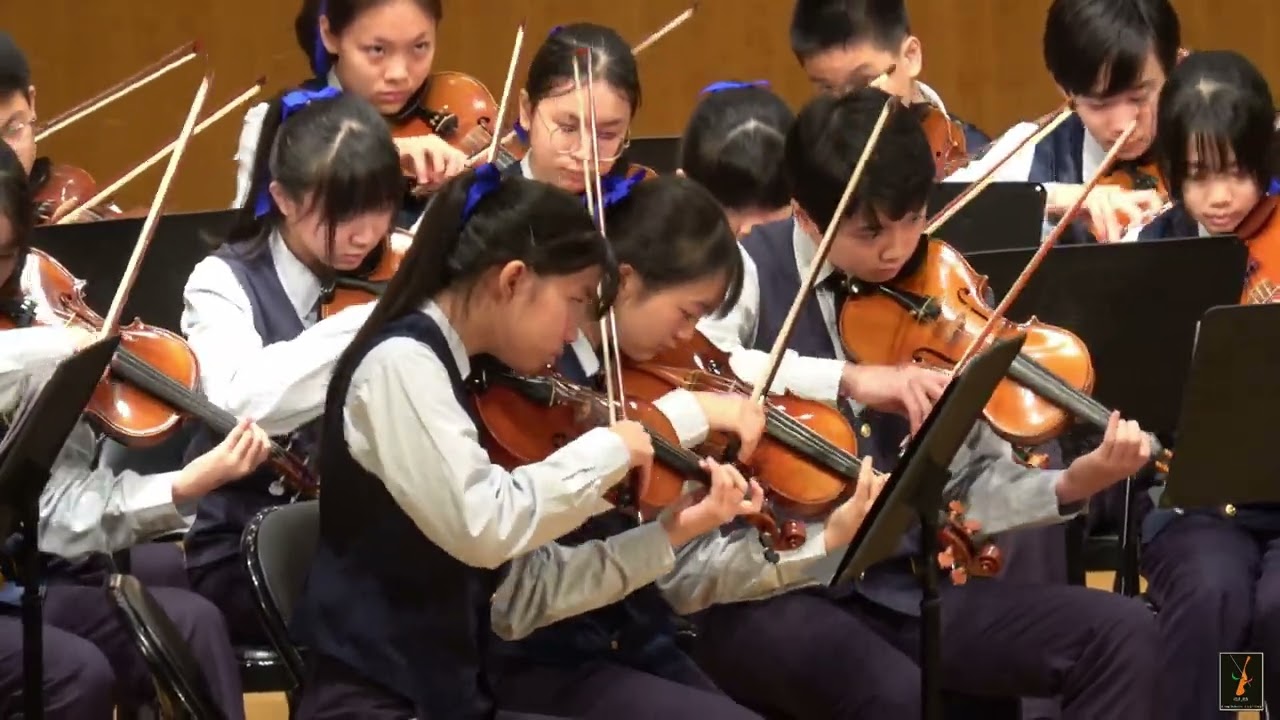 大安國中弦樂團--113學年度全國學生音樂比賽