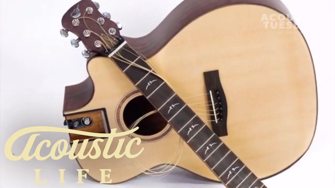 Journey Instruments Travel Guitar Review