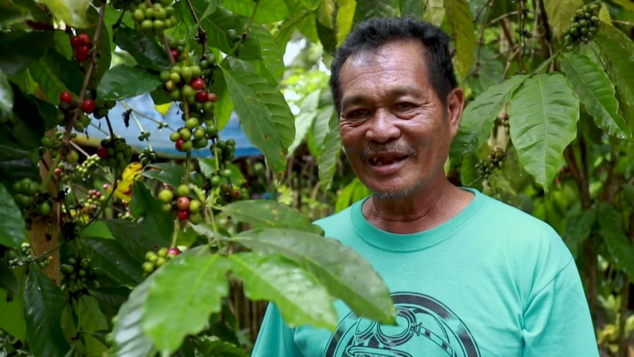 SACOVEFA  - 2023 National Winner on Best CFO in Coconut Intercropping