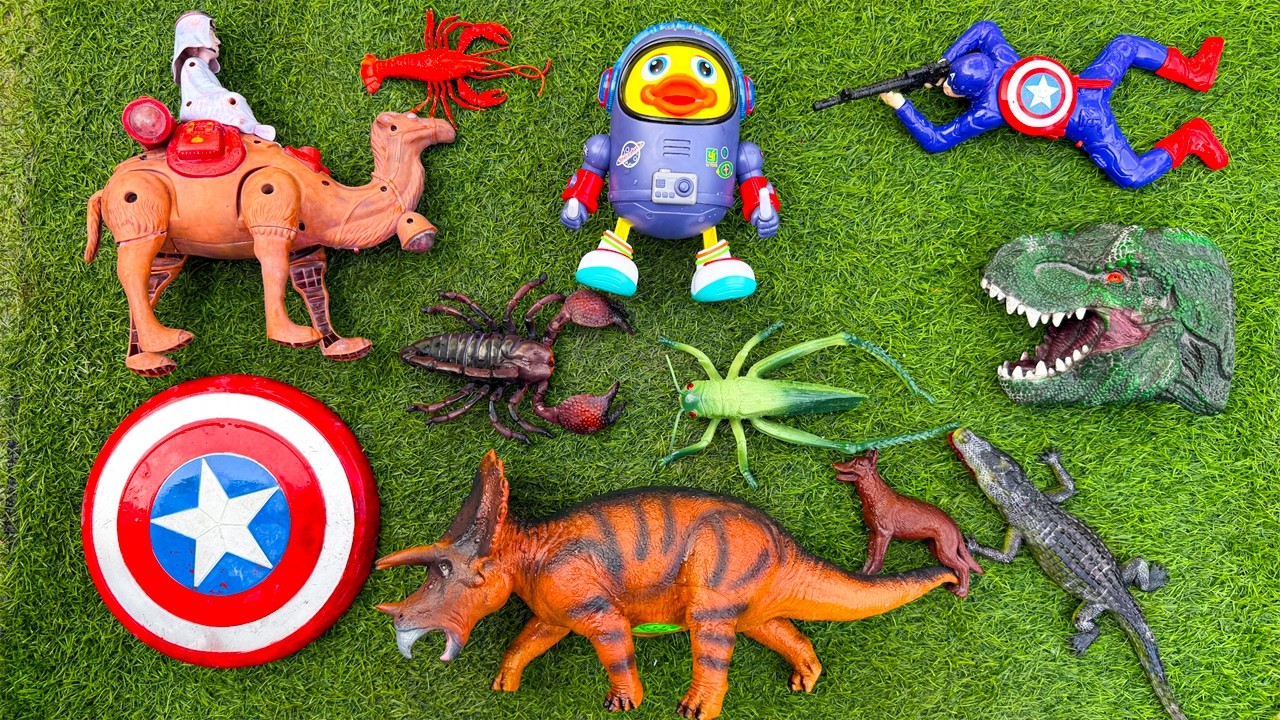 Temukan & Membersihkan hewan sapi, bebek, angsa, ayam, gajah, simpanse, singa, unta, buaya, kangguru