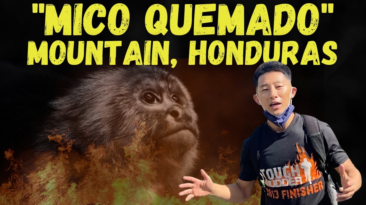 Hiking up jungles of Burning Monkey Mountain, Honduras