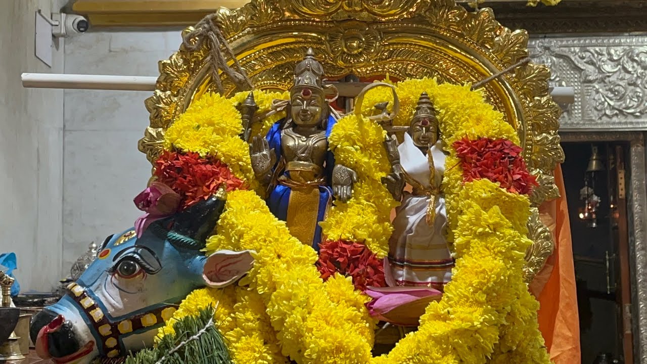 கோபாலபுரம் கிருஷ்ணபக்ஷ பிரதோஷம் | 16/01/2026 | விஷ்வாவசு வருஷம் | தை 02 |