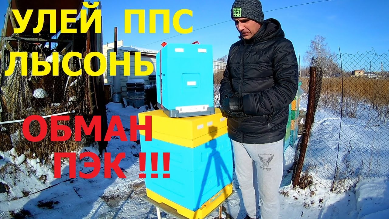 Купил улей ППС Лысонь. Доставка ПЭК