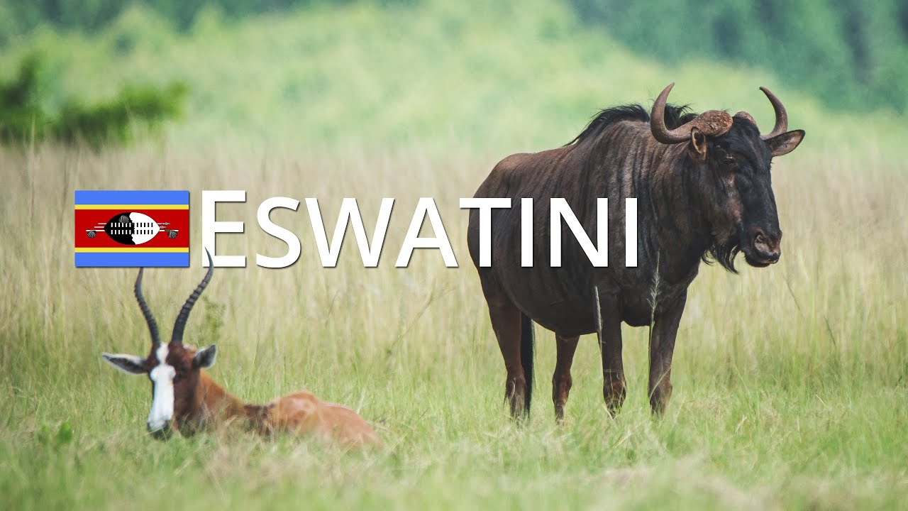 ESWATINI - Mlilwane Wildlife Sanctuary