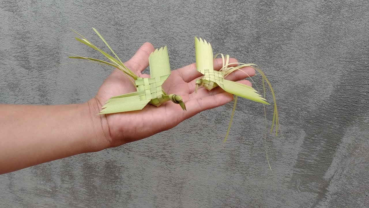 Hướng dẫn làm con chim bằng lá dừa (phượng hoàng)