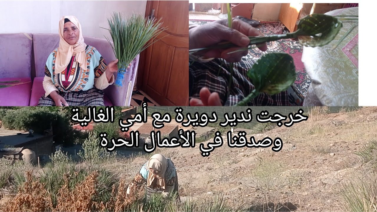 خرجنا نتساراو ورجعنا بحفنة الدوم الوالدة،❤️ رجعاتنا لذكرى من الأيام الماضية والفنون اليدوية الروعة