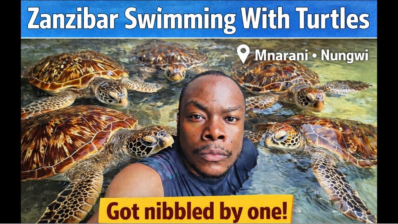 Zanzibar - swimming with turtles! The best experience in my life • Mnaraninatural aquarium