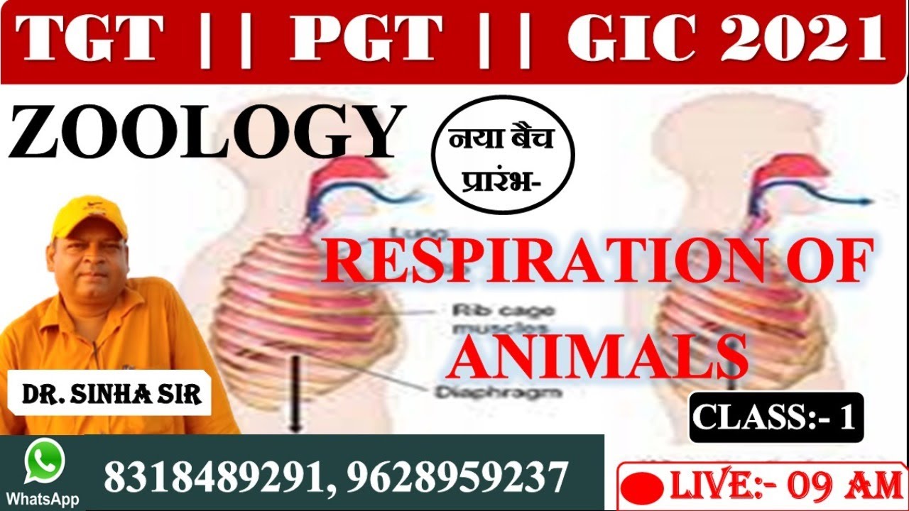 tgt pgt biology classes | GIC BIOLOGY 2021| Topic- RESPIRATION OF ANIMALS | teachers academy biology