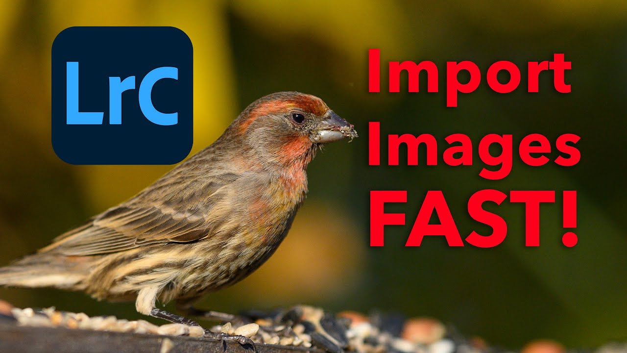 Как БЫСТРО импортировать изображения в Adobe Lightroom Classic