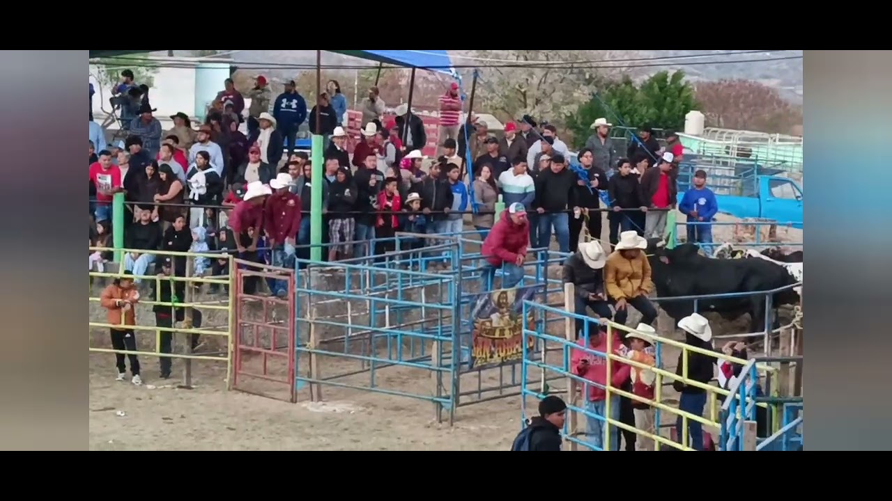 Feria anual en San simon almolongas 2026