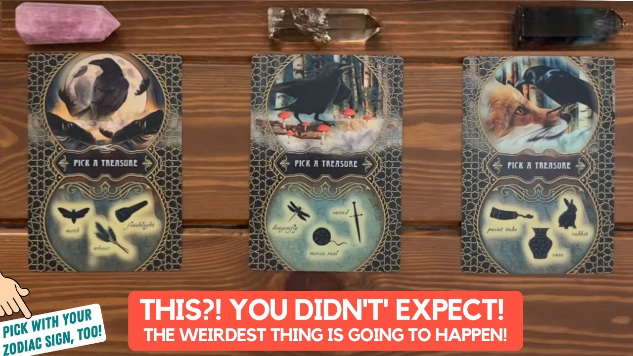 THIS?! You Didn't' Expect! The Weirdest Thing Is Going To Happen! | Timeless Reading