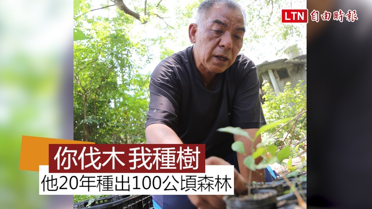 每天種樹對抗伐木 他20年種出100公頃森林