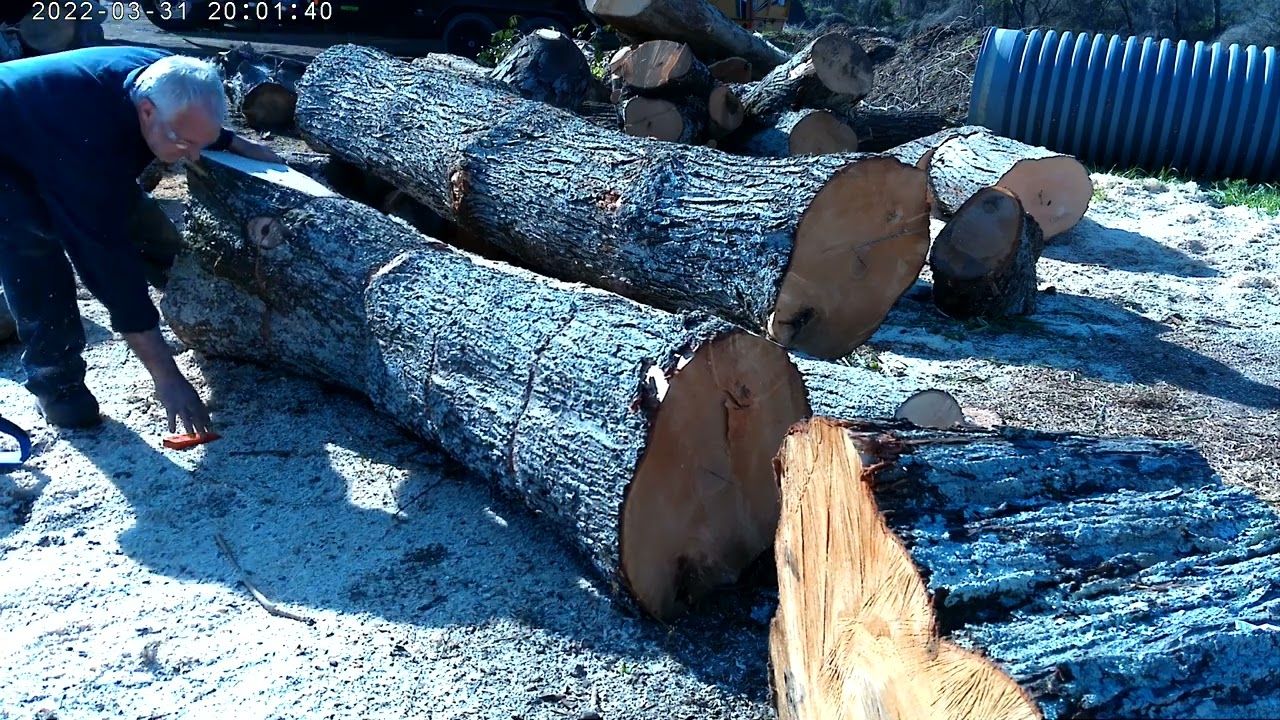 HOLZFFORMA G888 CUTTING FIREWOOD.