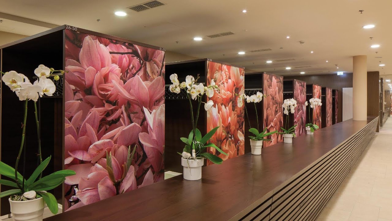 Austria Trend Hotel Savoyen Vienna | Travel With Priyanshi
