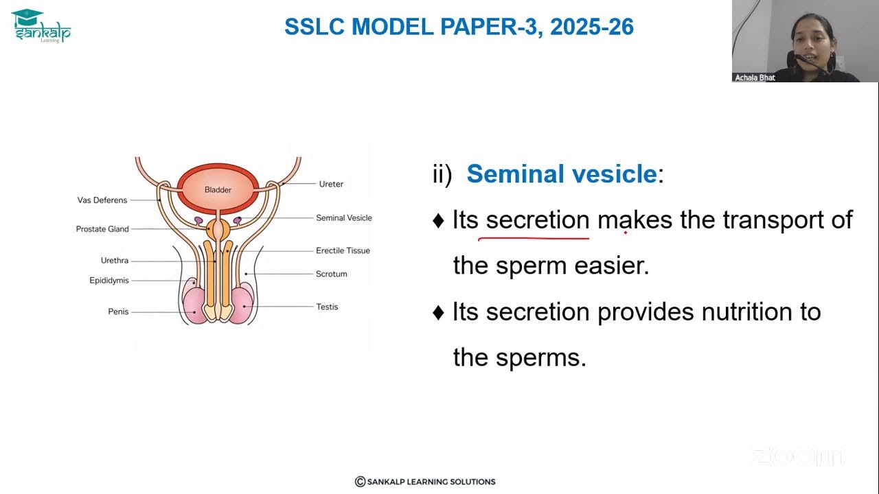 Model question paper 3 - Science - EM - Session 3