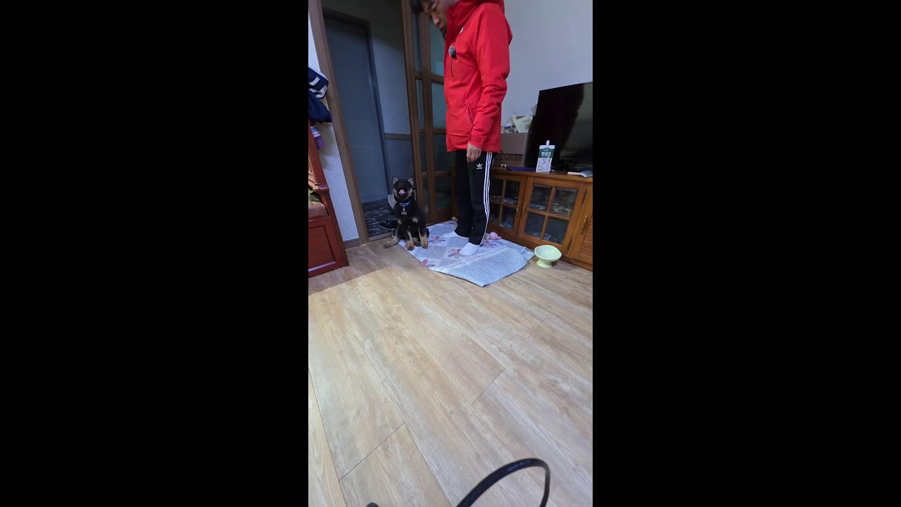 추자도 일상 소통 짤방