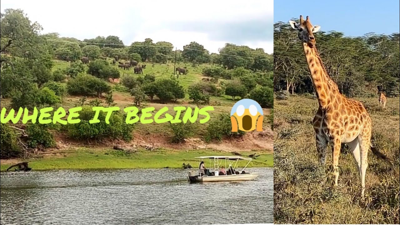 where Does The Chobe River Begin?