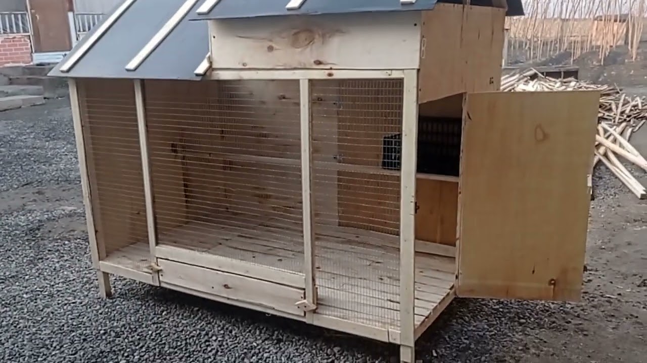 Инватсия клеткалар 935360631