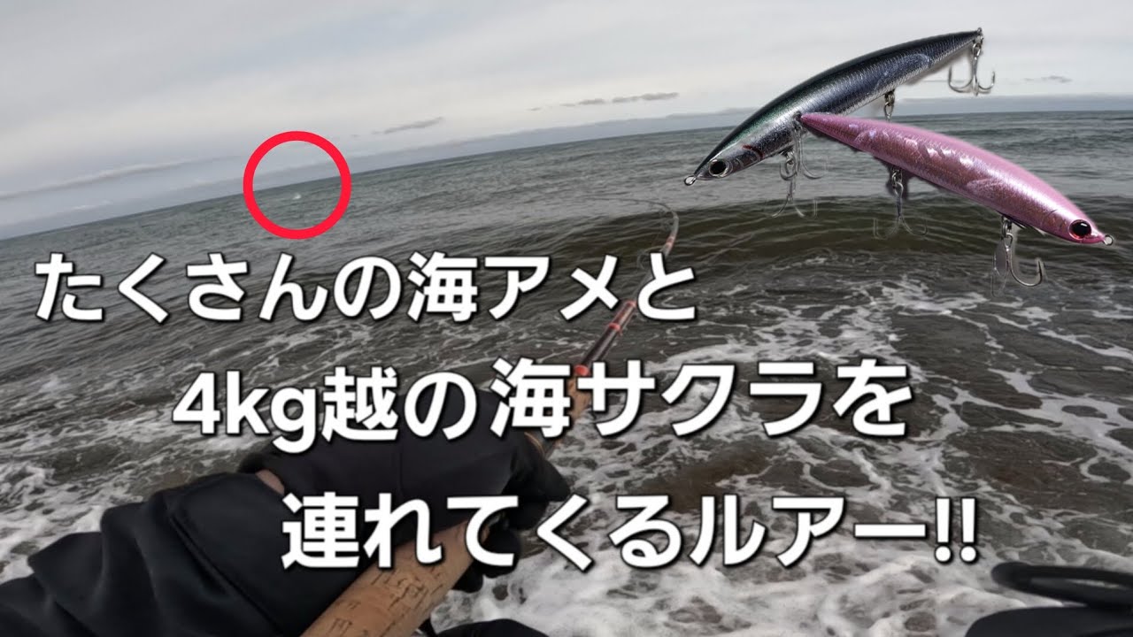 海サクラマスも海アメマスもジャクソンアスリート12SSPに夢中!?【北海道釣り】【サーフフィッシング】