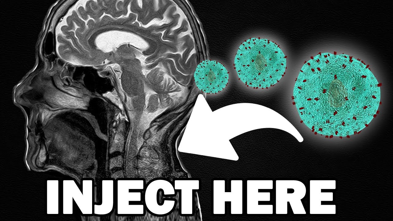 How Stem Cells Heal Irreversible Injuries