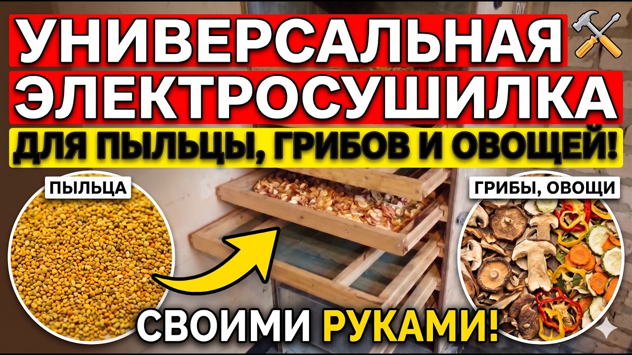 Как изготовить сушилку для пыльцы, овощей своими руками?