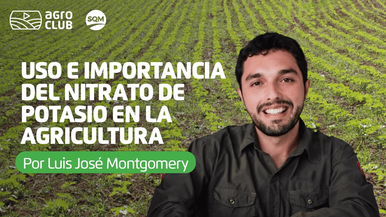 USO DEL NITRATO DE POTASIO EN LA AGRICULTURA