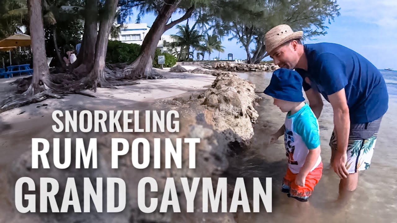 Snorkeling GRAND CAYMAN ISLAND Rum Point [4K]