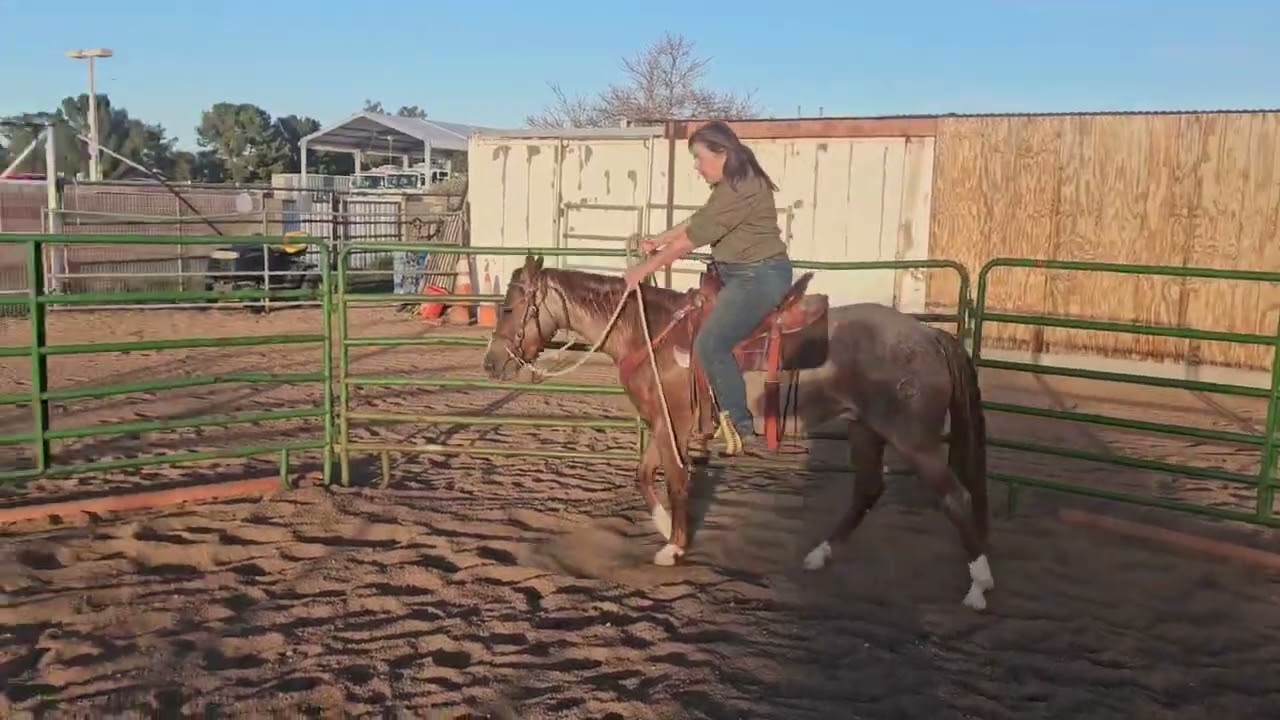 Kevin's 3rd ride