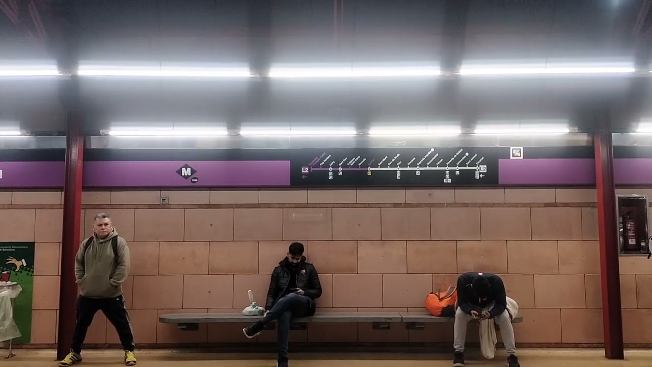 Metro Barcelona L2 trayecto de Artigues Santa Adria a Clot Serie 9005