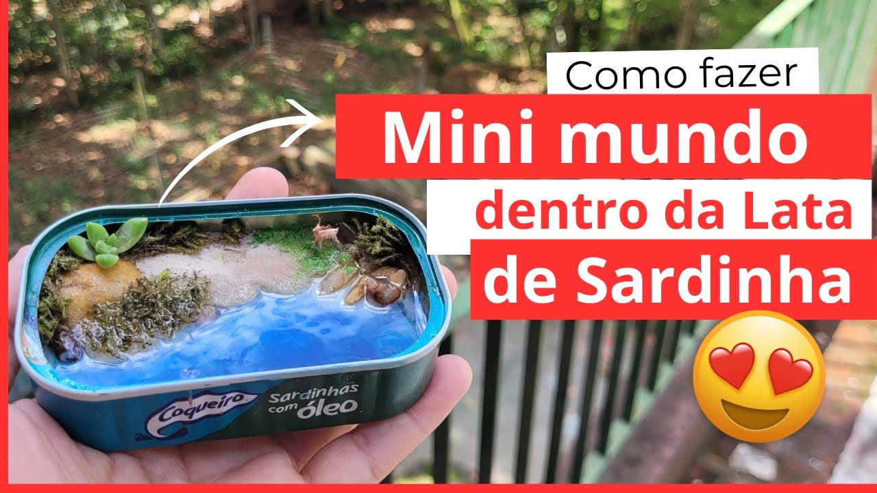 Mini mundo dentro da Lata de Sardinha.