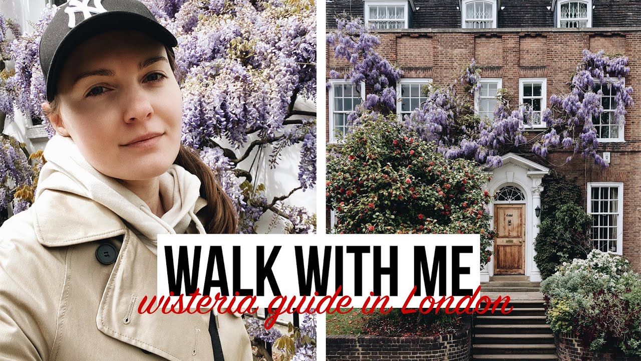 WALK WITH ME | WISTERIA HUNTING in RICHMOND, NOTTING HILL and KENSINGTON
