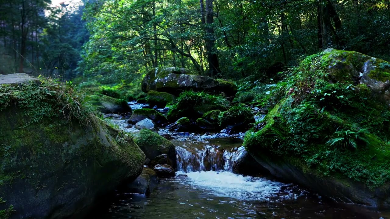 3 Hours Gentle Stream Sounds | 舒緩的溪流聲 #asmr #relaxing #ambient #stream #whitenoise