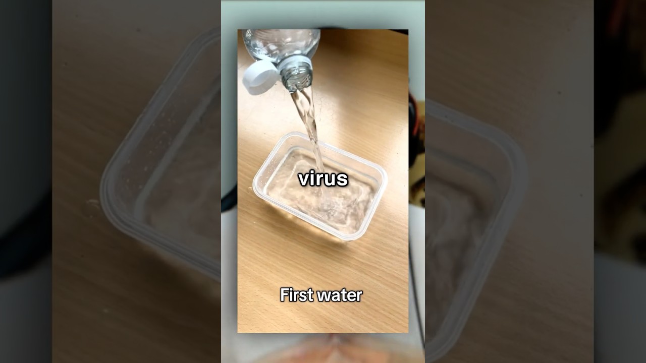 Guy Tried To Create a Virus 🦠