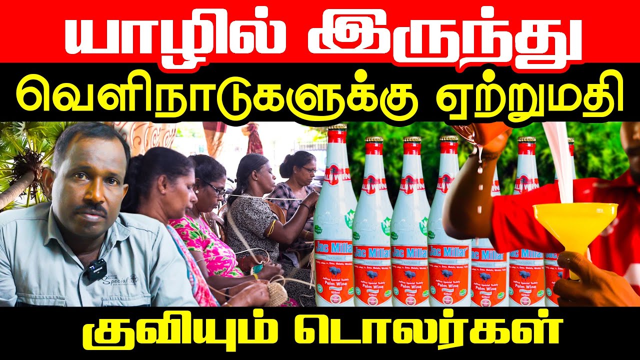 யாழில்  இருந்து  வெளிநாடுகளுக்கு ஏற்றுமதி l குவியும் டொலர்கள் | orvasanai l IBC Tamil tv