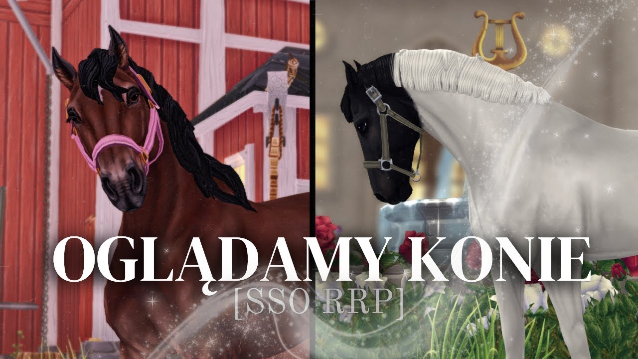 Oglądamy konie do kupna [SSO RRP]