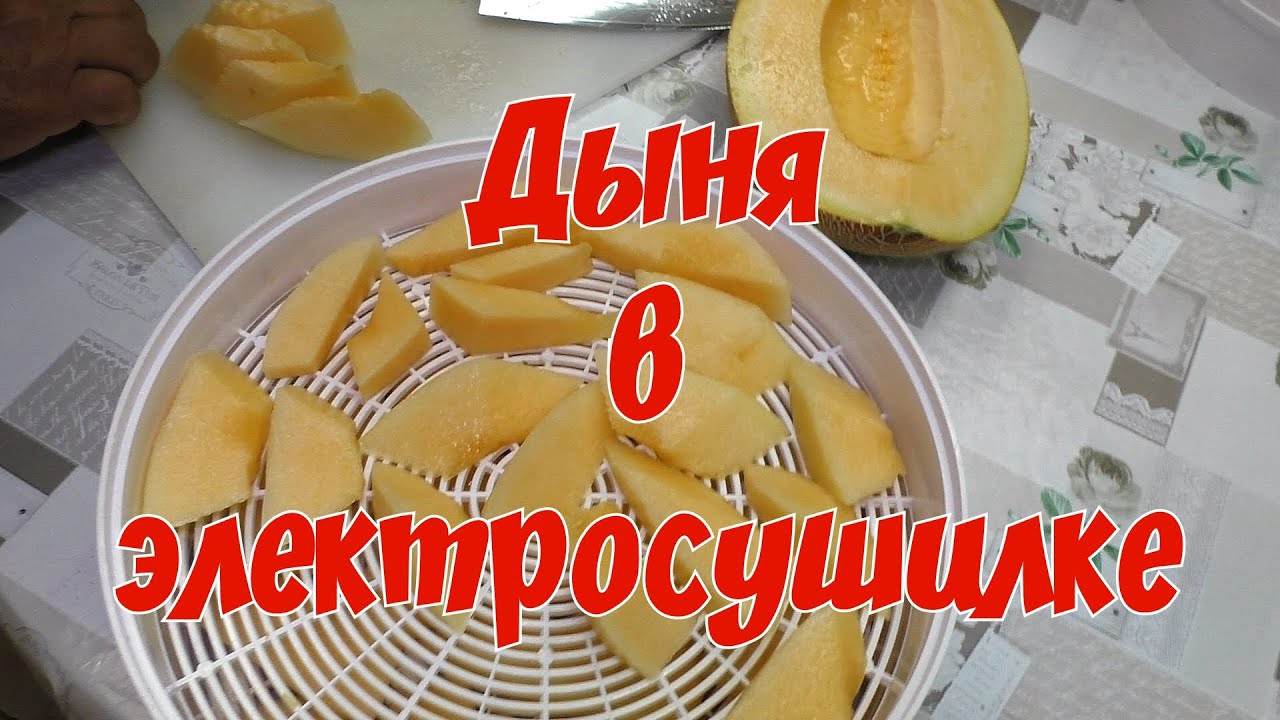 Дыня в электросушилке/Dried melon
