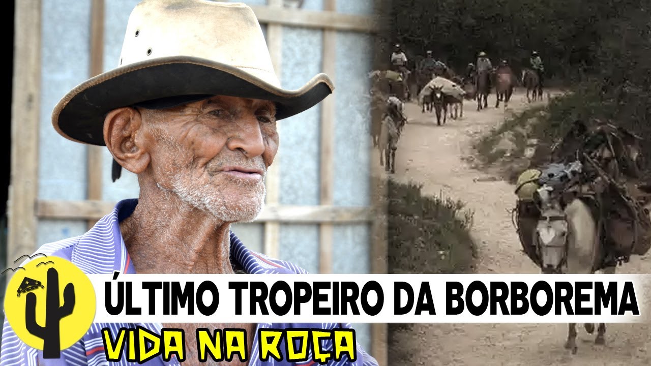 [VIDA NA ROÇA] Último Tropeiro da Borborema: Pretinho Noberto, Trajetória na Lida de Tropeiro 🌵