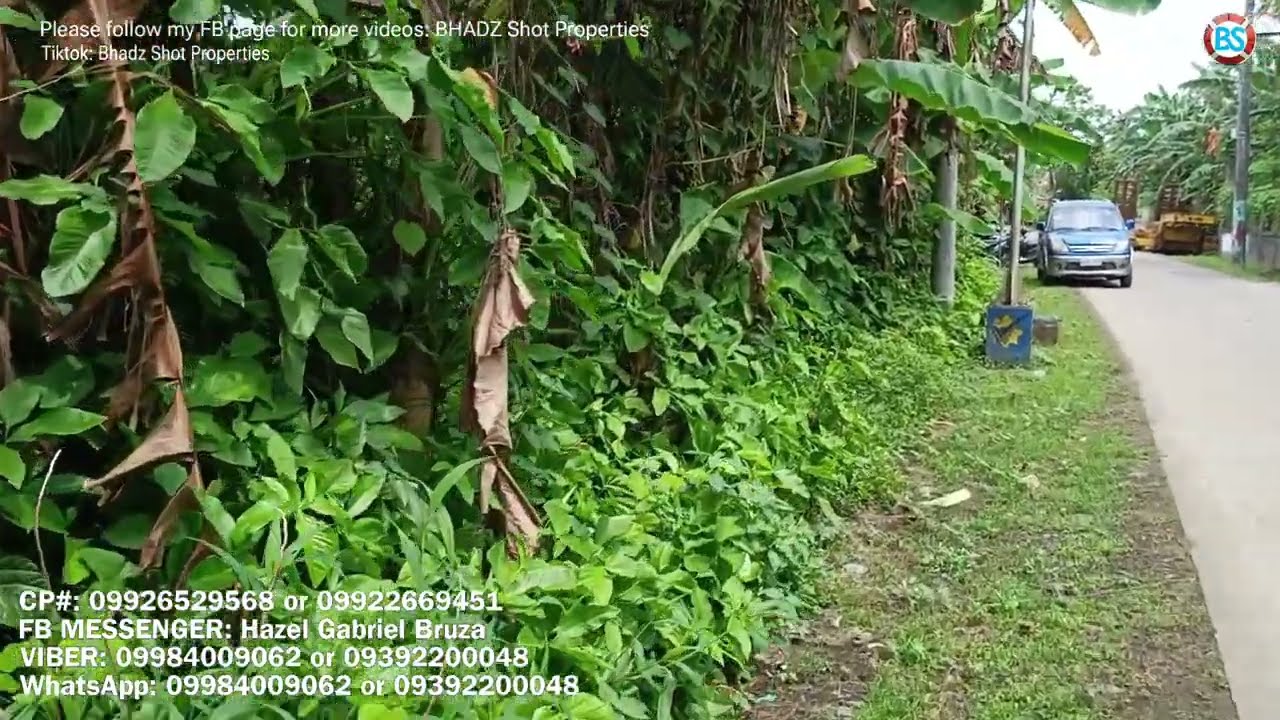 (P# 850) Pwede mag cut 3,000 sqms, 5,000 sqms at 8,000 sqms sa Pila, Laguna for sale