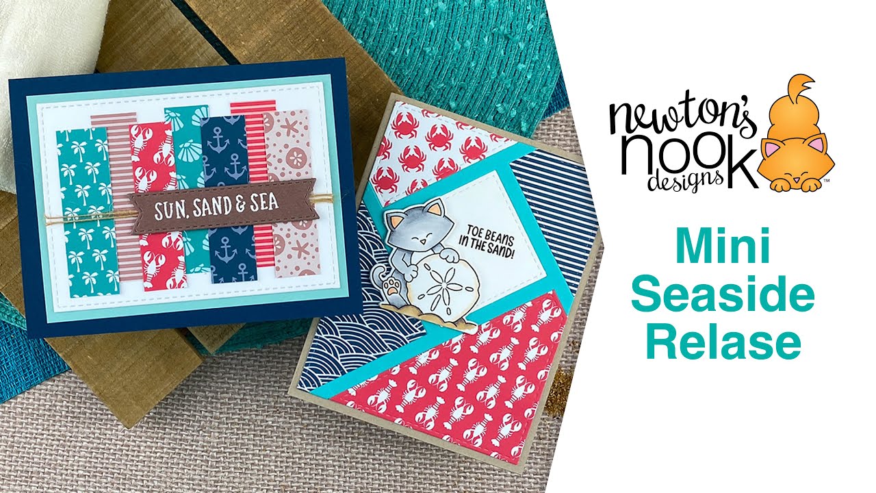 Head to the Seaside with Newton!