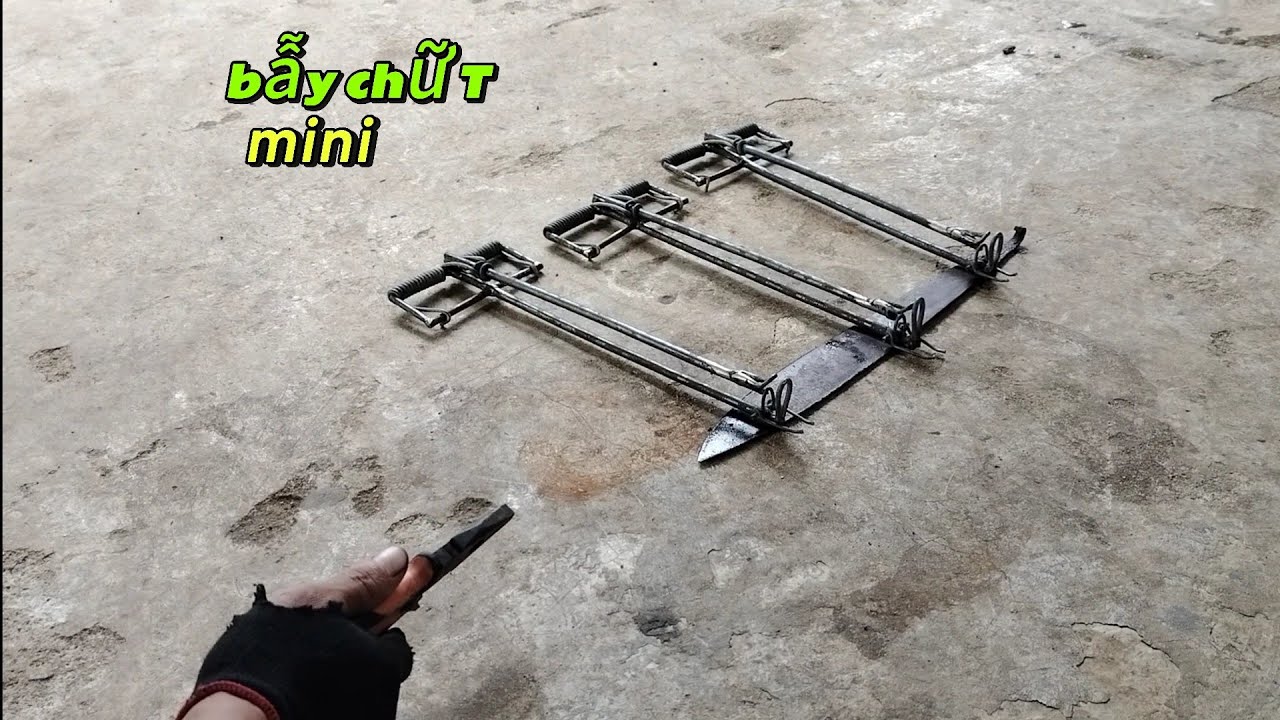 Bẫy lò xo mì ni uy lực chất lượng ko làm mọi người thất vọng ( thợ rừng chế bẫy )