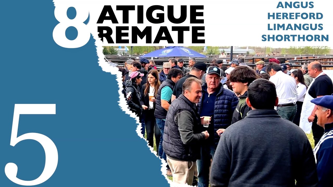 8 Аукцион ATIGUE, Северная Патагония ( 5 )