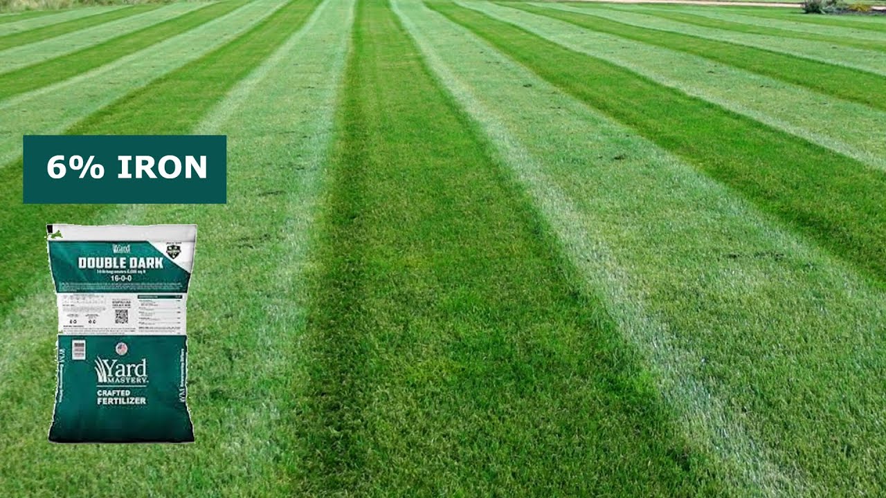 Before and After: Using Yardmastery Double Dark Fertilizer with 6% Iron on My Lawn