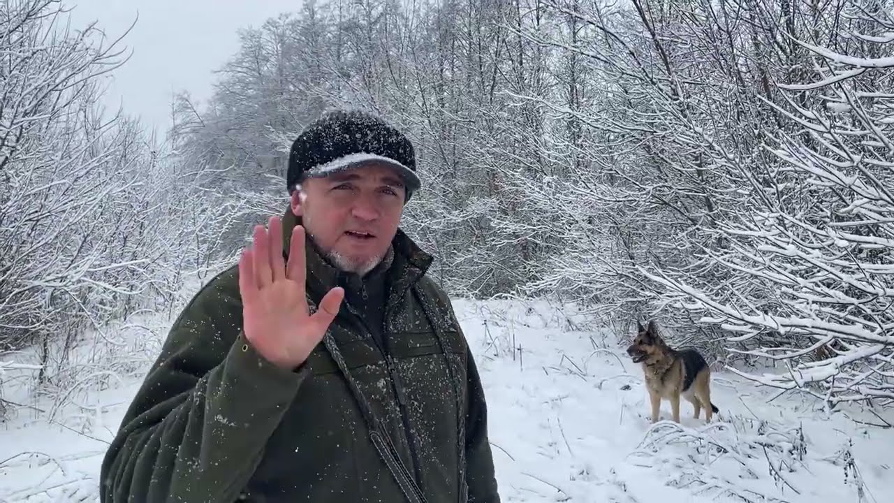 ПРОГУЛКА ПЕРЕД ПОТОПОМ.😱😱😱МЕРЛА В РАЗЛИВЕ.🫢