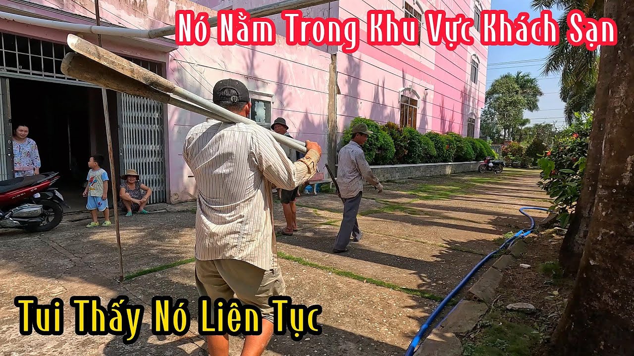 Ông Bà Chủ Khách Sạn Không Dám Ra Sao Vườn Vì Thấy Nó Liên Tục | Mười Thương SB
