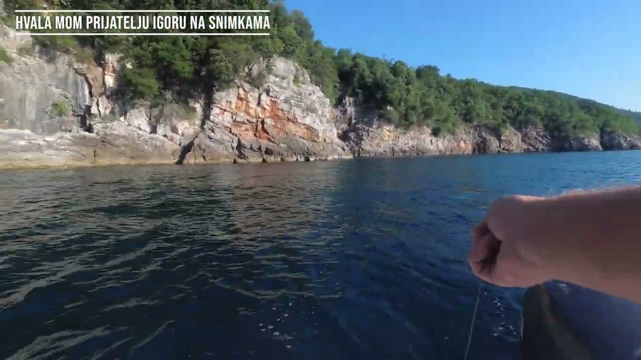 ZABAVA SA BARKE   UŠATE ŠARUNI I JOŠ POMALO SVEGA