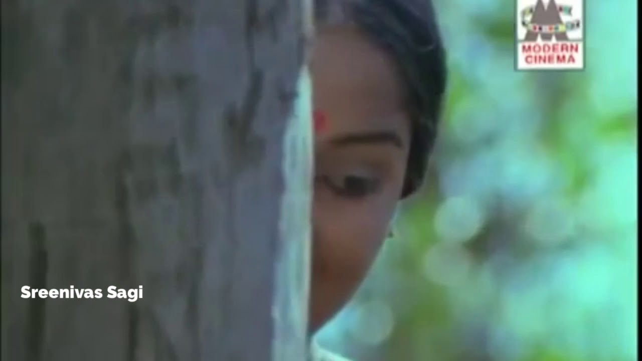 Naadam nee deevene - Ragamalika - Telugu - Ilayaraja -- S Janaki