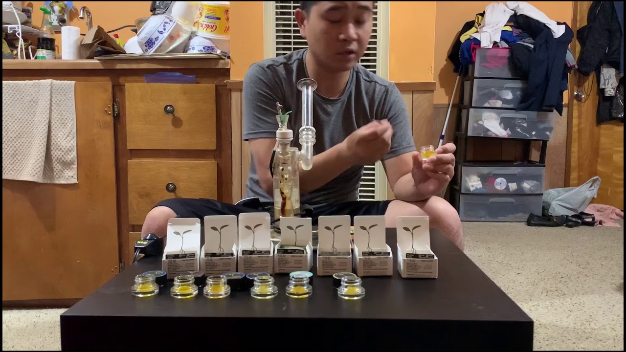 DABBING Intro + RAW GARDEN Live Resin Sauce Review