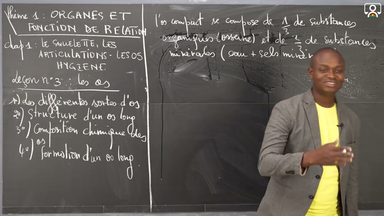 Cours - 3e - SVT : Les os 2/3